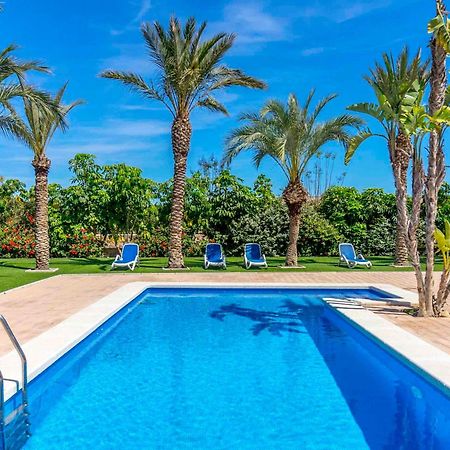 Finca Santa Barbara Έλτσε Εξωτερικό φωτογραφία